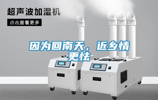 因?yàn)榛啬咸?，近鄉(xiāng)情更怯