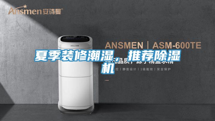 夏季裝修潮濕，推薦除濕機