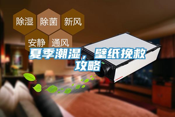 夏季潮濕，壁紙挽救攻略