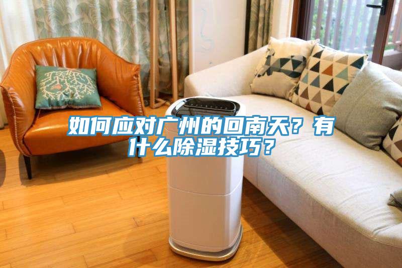 如何應(yīng)對廣州的回南天？有什么除濕技巧？