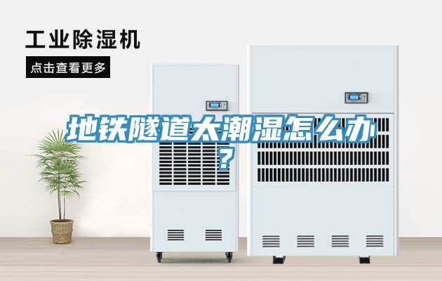 地鐵隧道太潮濕怎么辦？