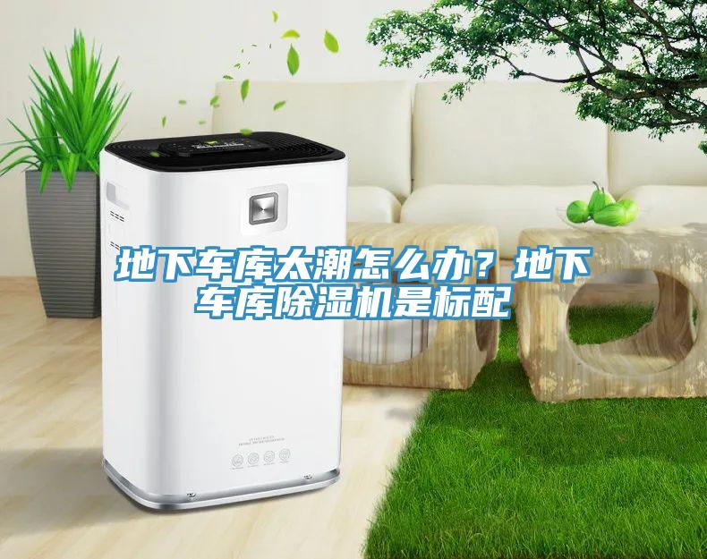 地下車庫太潮怎么辦？地下車庫除濕機是標(biāo)配
