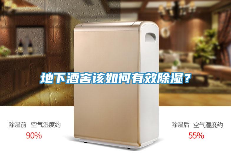 地下酒窖該如何有效除濕？