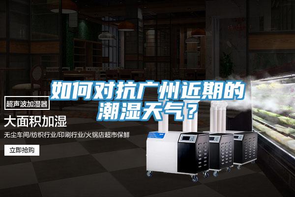 如何對抗廣州近期的潮濕天氣？