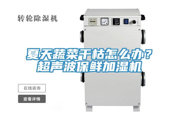 夏天蔬菜干枯怎么辦？超聲波保鮮加濕機