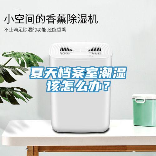 夏天檔案室潮濕該怎么辦？
