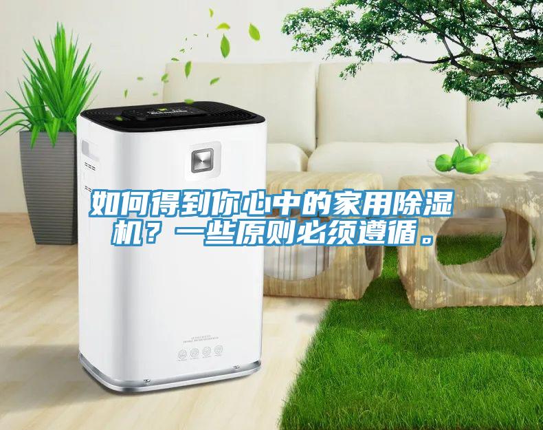 如何得到你心中的家用除濕機？一些原則必須遵循。