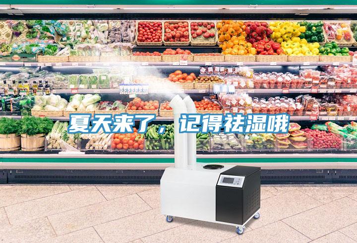 夏天來了，記得祛濕哦