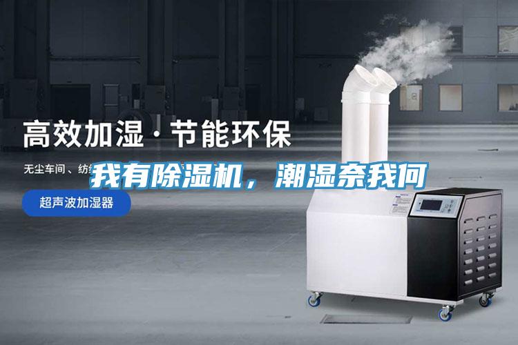 我有除濕機(jī)，潮濕奈我何