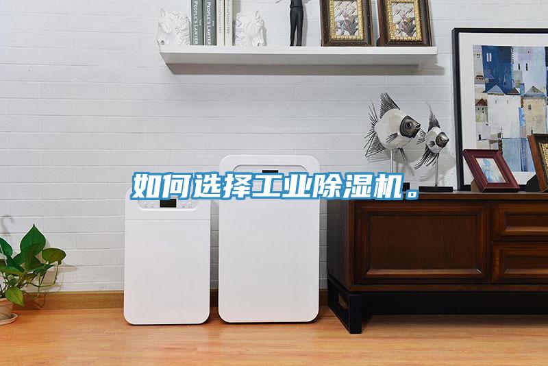 如何選擇工業(yè)除濕機(jī)。