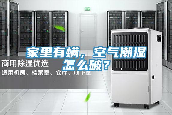 家里有螨，空氣潮濕怎么破？