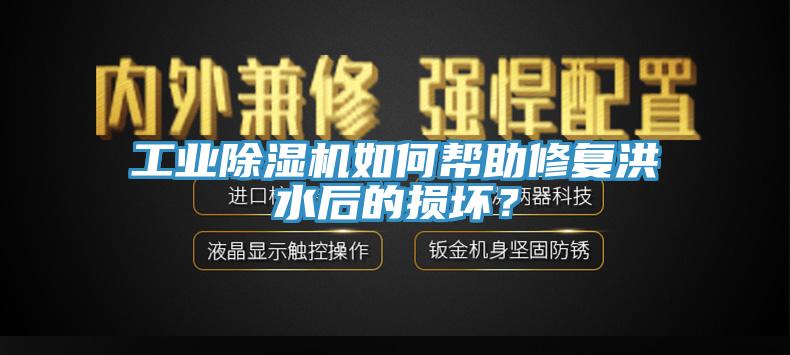 工業(yè)除濕機(jī)如何幫助修復(fù)洪水后的損壞？