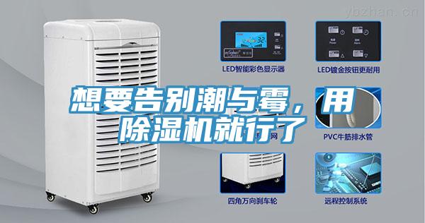 想要告別潮與霉，用除濕機就行了