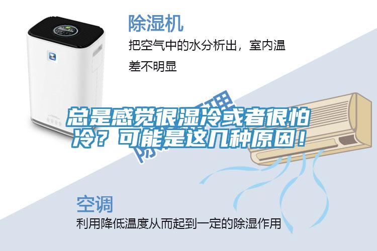總是感覺很濕冷或者很怕冷？可能是這幾種原因！