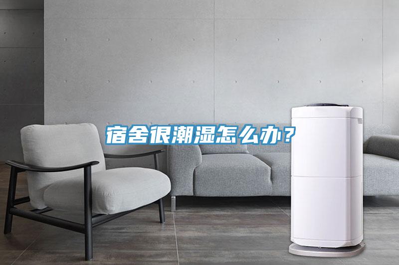宿舍很潮濕怎么辦？