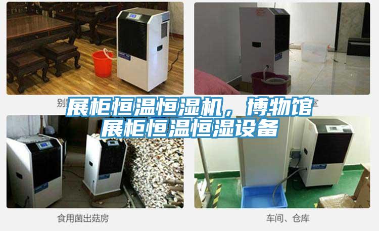 展柜恒溫恒濕機，博物館展柜恒溫恒濕設(shè)備