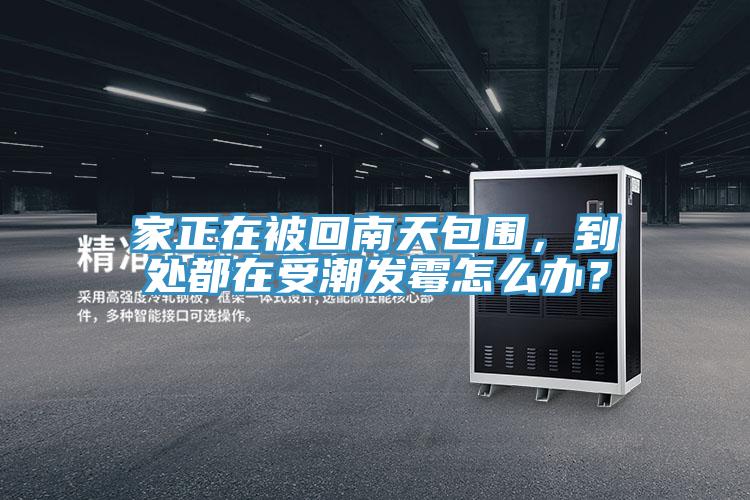 家正在被回南天包圍，到處都在受潮發(fā)霉怎么辦？