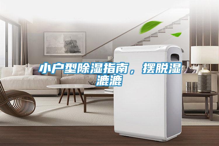 小戶(hù)型除濕指南，擺脫濕漉漉