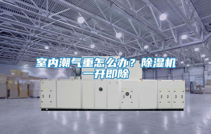 室內(nèi)潮氣重怎么辦？除濕機(jī)一開即除