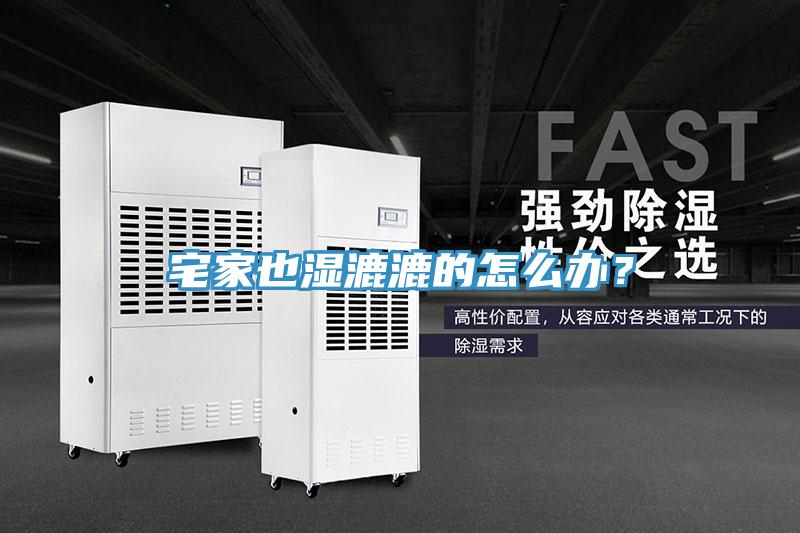 宅家也濕漉漉的怎么辦？