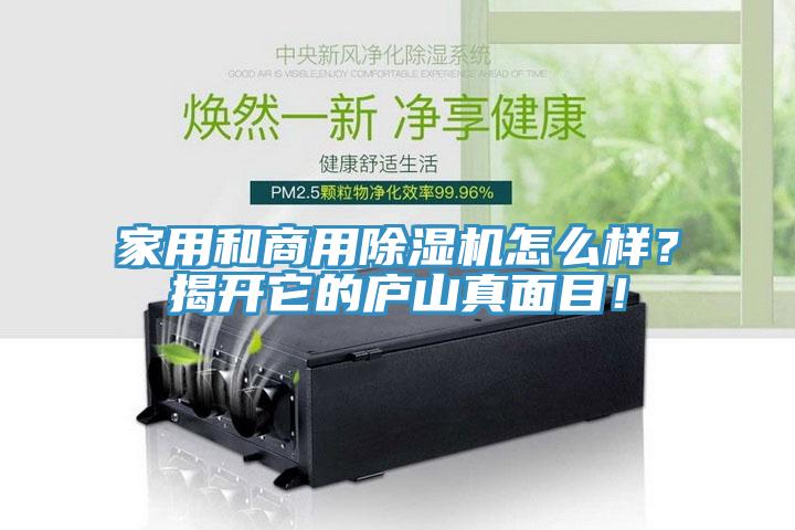 家用和商用除濕機(jī)怎么樣？揭開(kāi)它的廬山真面目！