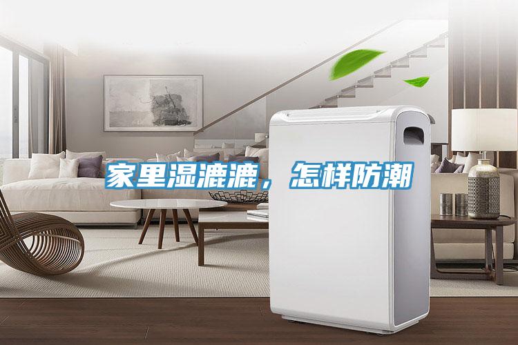 家里濕漉漉，怎樣防潮