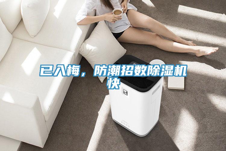 已入梅，防潮招數(shù)除濕機(jī)快