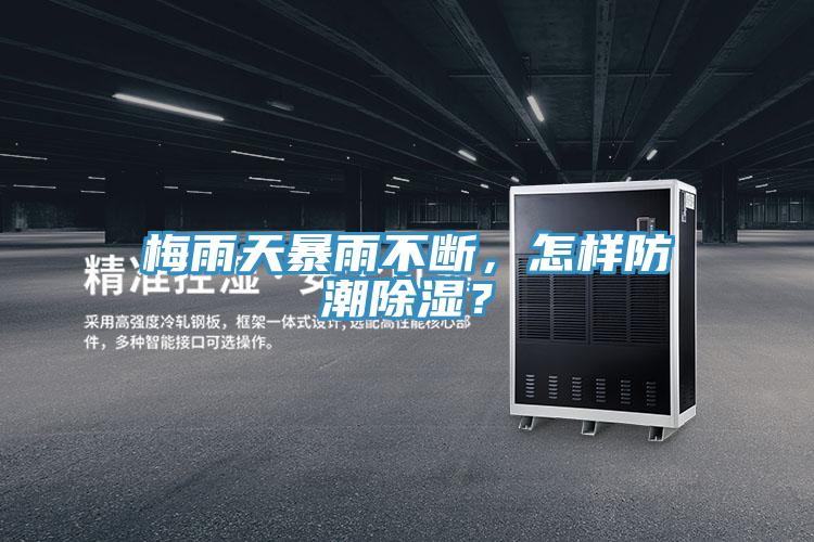 梅雨天暴雨不斷，怎樣防潮除濕？