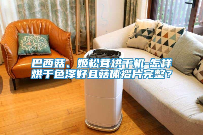 巴西菇、姬松茸烘干機(jī)-怎樣烘干色澤好且菇體褶片完整？