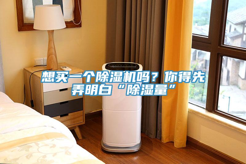 想買一個除濕機(jī)嗎？你得先弄明白“除濕量”