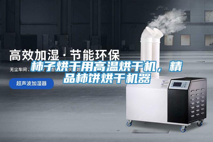 柿子烘干用高溫烘干機，精品柿餅烘干機器