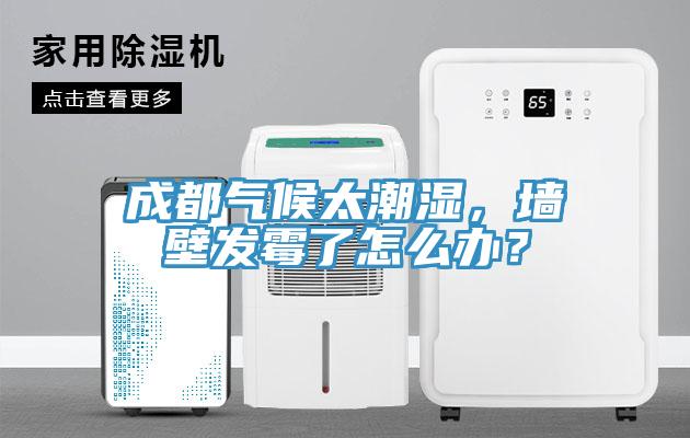 成都?xì)夂蛱睗?，墻壁發(fā)霉了怎么辦？
