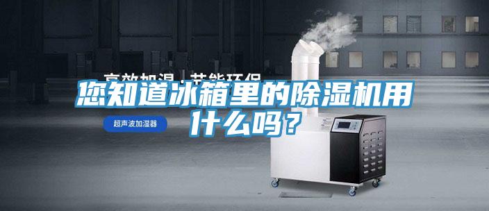 您知道冰箱里的除濕機用什么嗎？