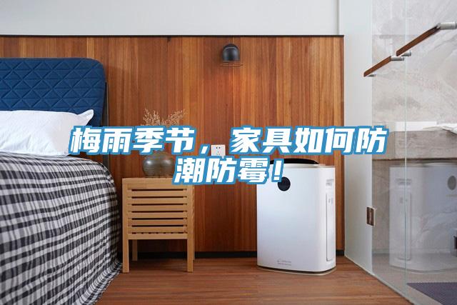 梅雨季節(jié)，家具如何防潮防霉！
