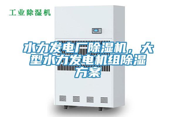 水力發(fā)電廠除濕機(jī)，大型水力發(fā)電機(jī)組除濕方案