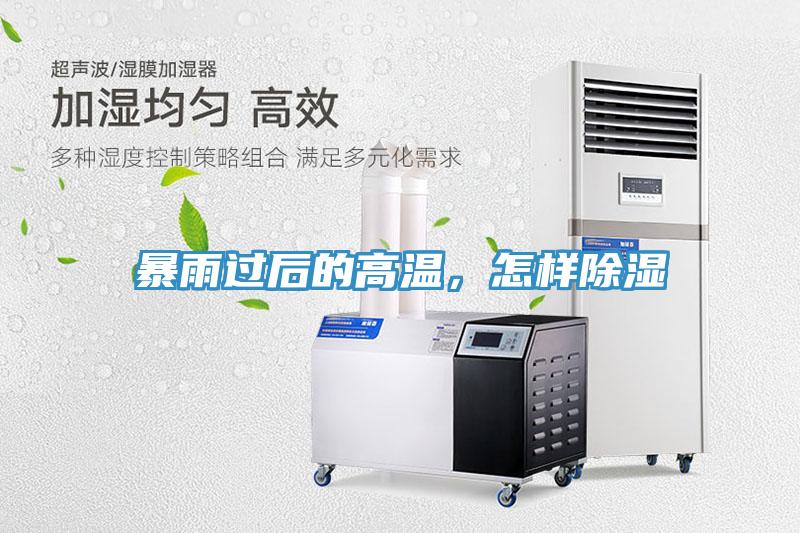 暴雨過后的高溫，怎樣除濕