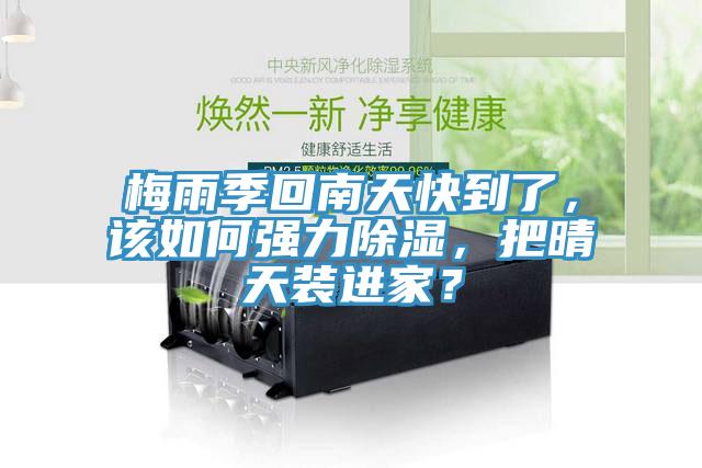 梅雨季回南天快到了，該如何強(qiáng)力除濕，把晴天裝進(jìn)家？