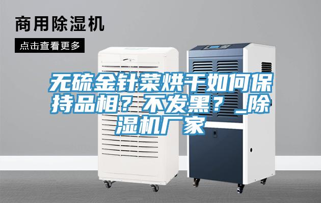 無硫金針菜烘干如何保持品相？不發(fā)黑？_除濕機(jī)廠家