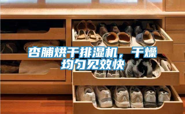 杏脯烘干排濕機，干燥均勻見效快