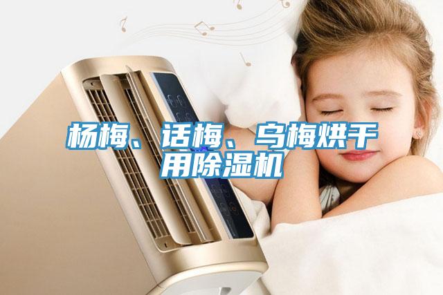 楊梅、話梅、烏梅烘干用除濕機