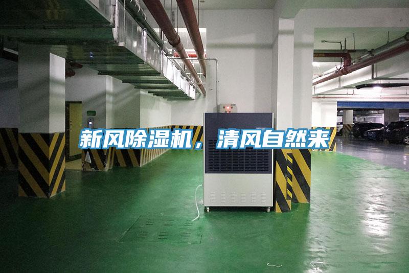 新風除濕機，清風自然來