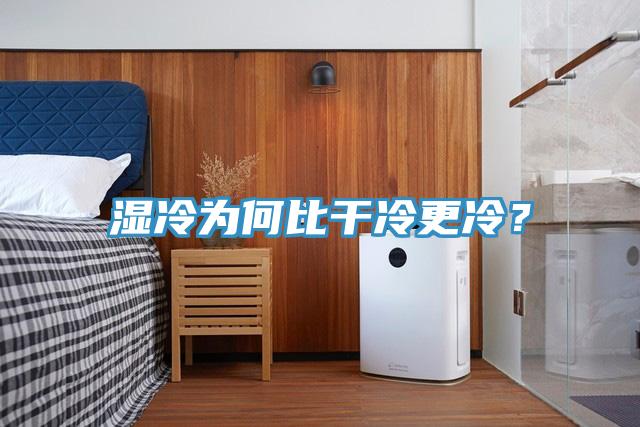 濕冷為何比干冷更冷？