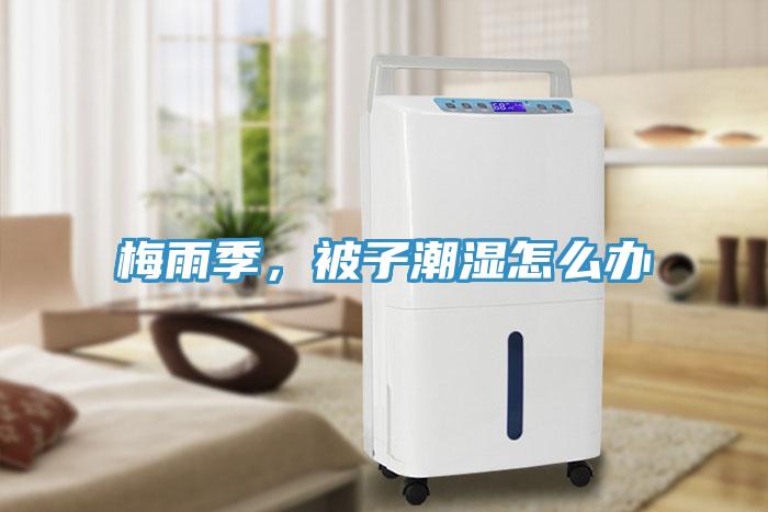 梅雨季，被子潮濕怎么辦