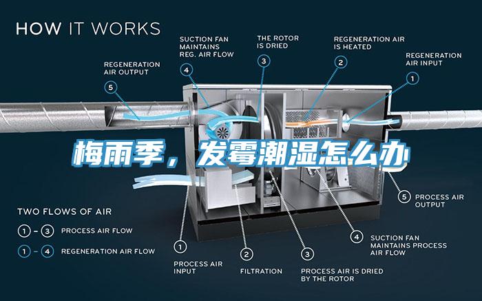 梅雨季，發(fā)霉潮濕怎么辦