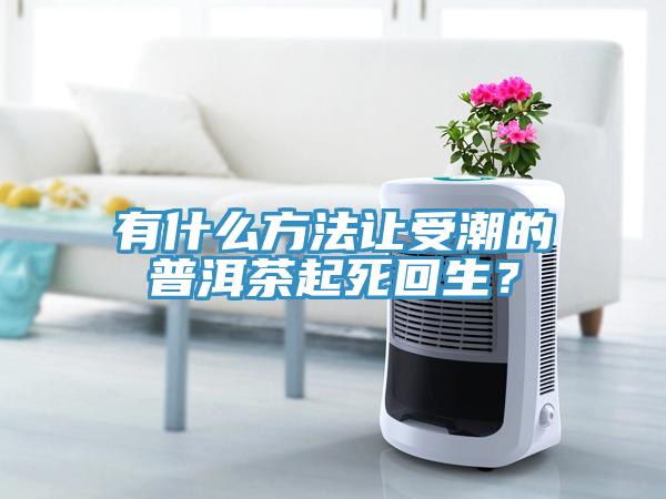 有什么方法讓受潮的普洱茶起死回生？