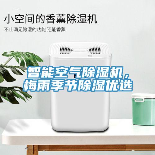 智能空氣除濕機(jī)，梅雨季節(jié)除濕優(yōu)選