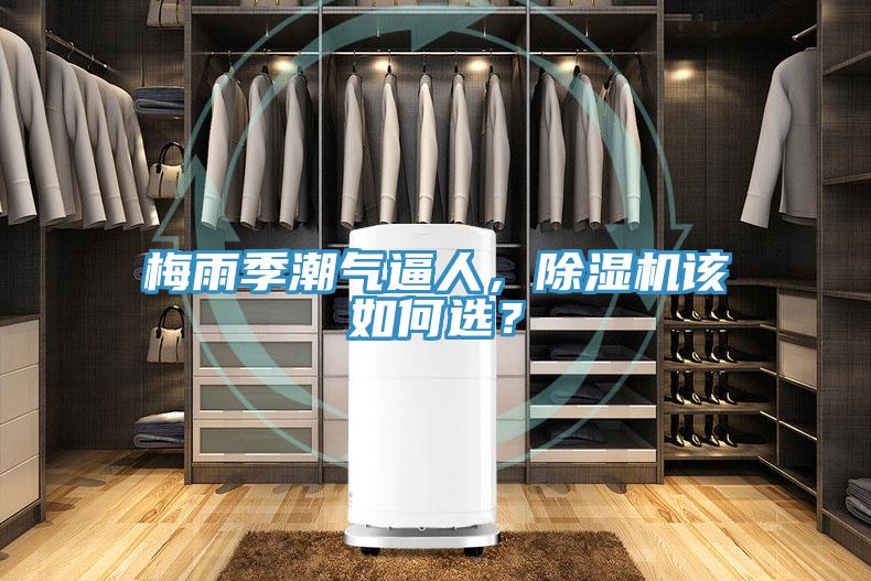 梅雨季潮氣逼人，除濕機(jī)該如何選？