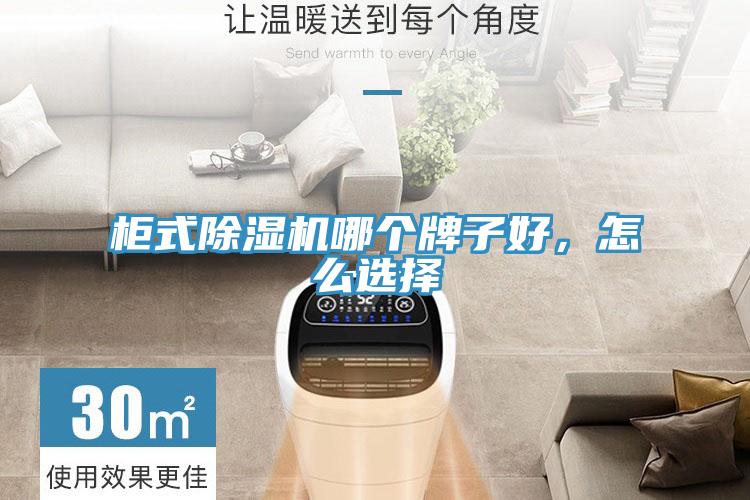 柜式除濕機(jī)哪個(gè)牌子好，怎么選擇