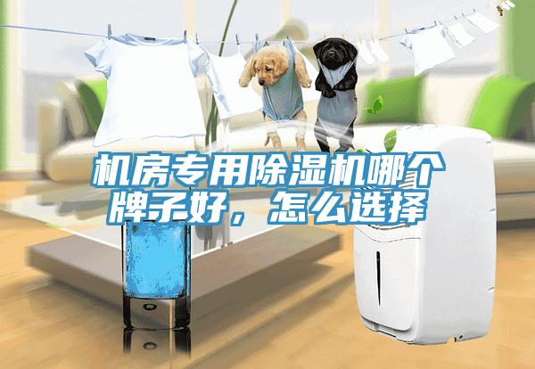 機(jī)房專用除濕機(jī)哪個(gè)牌子好，怎么選擇