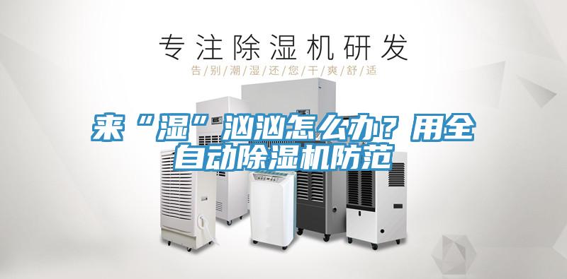 來“濕”洶洶怎么辦？用全自動除濕機防范